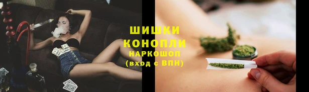 винт Надым