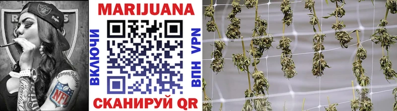Бошки Шишки OG Kush  Купить где  Курлово 